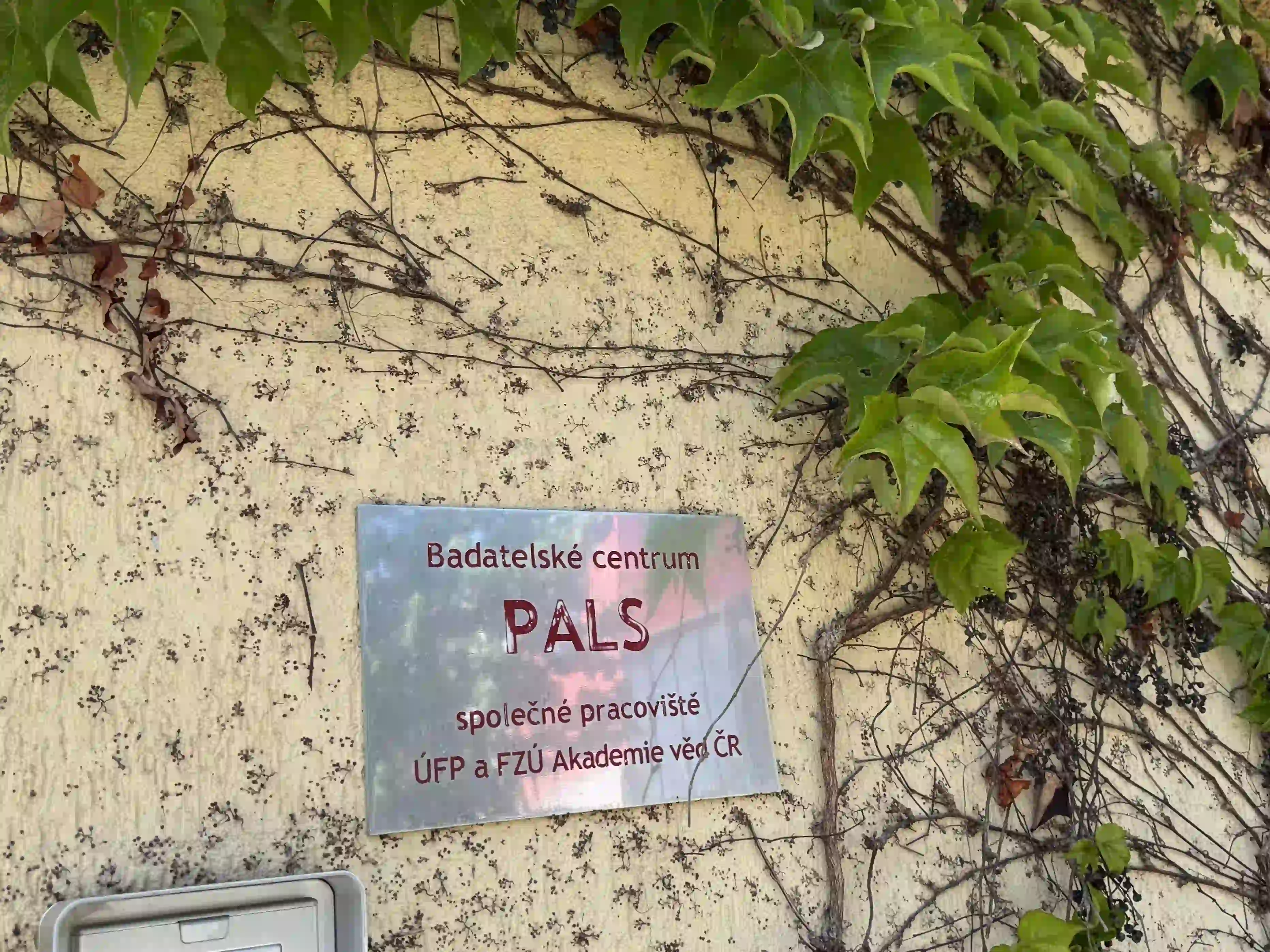 PALS_3